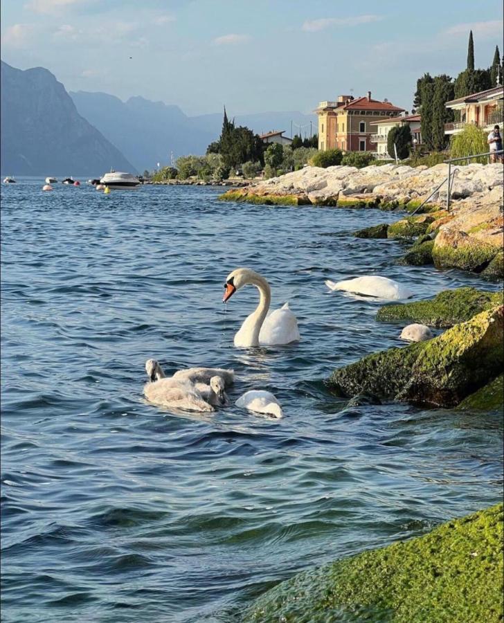 Villa Torre - Atmosfera Romantica Brenzone sul Garda Dış mekan fotoğraf