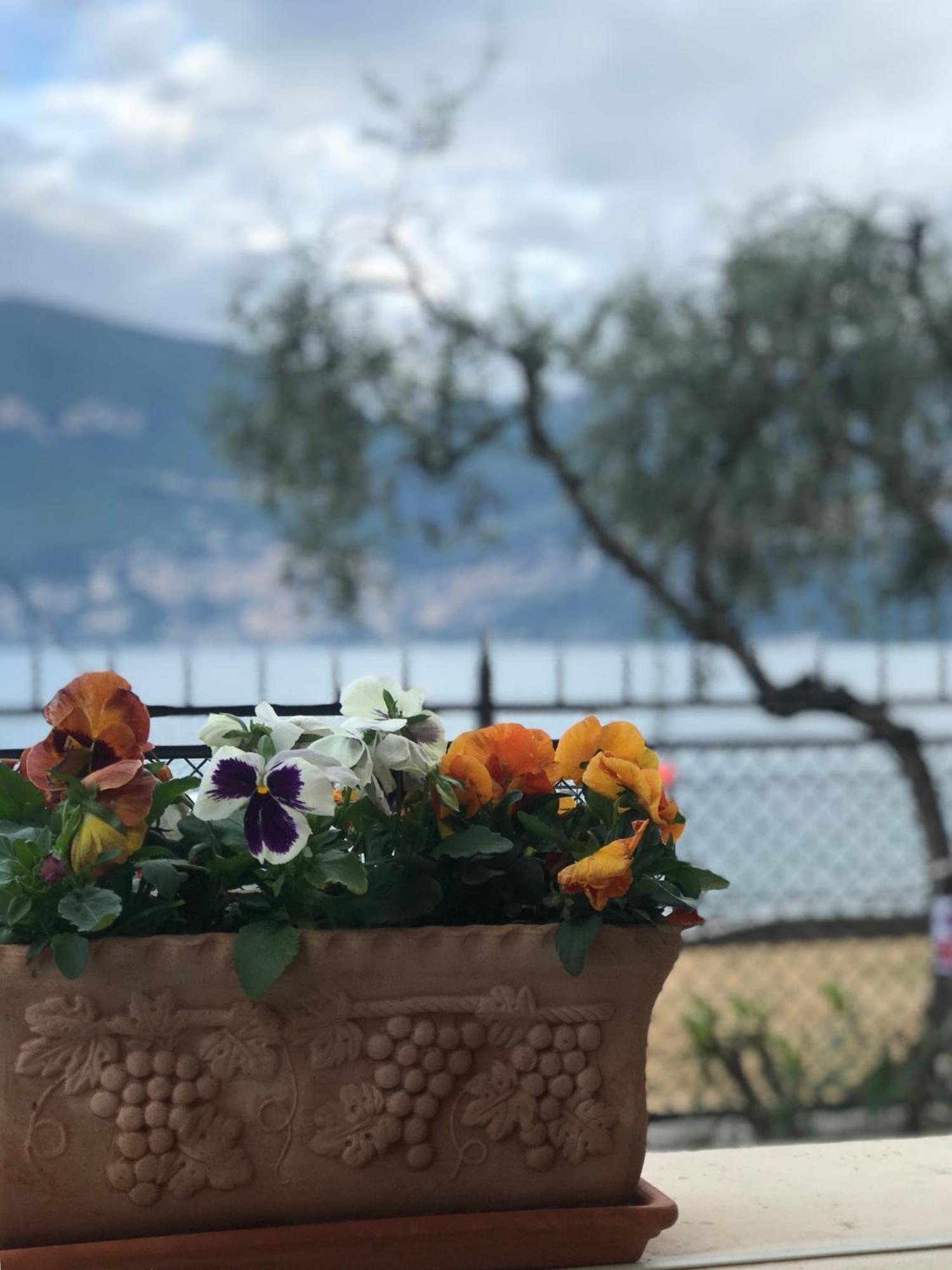 Villa Torre - Atmosfera Romantica Brenzone sul Garda Dış mekan fotoğraf