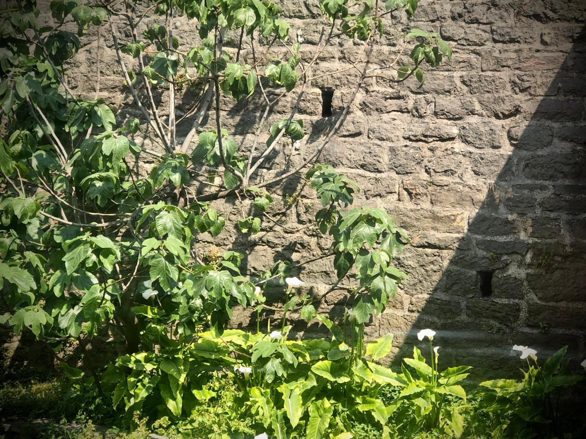 Villa Torre - Atmosfera Romantica Brenzone sul Garda Dış mekan fotoğraf